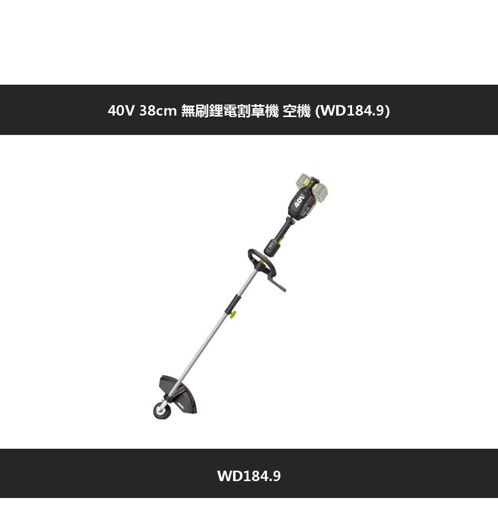 40V 38cm  WD184.9)WD184.9